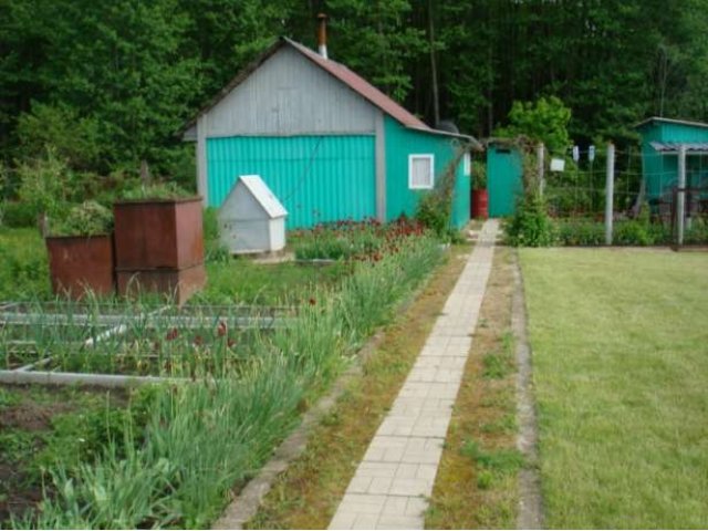 Продам дачу в городе Ярцево, фото 2, Продажа земли под сад и огород