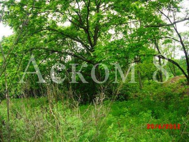 Продам земельный участок 15 соток Соловей ключ в городе Владивосток, фото 1, Продажа земли под сад и огород