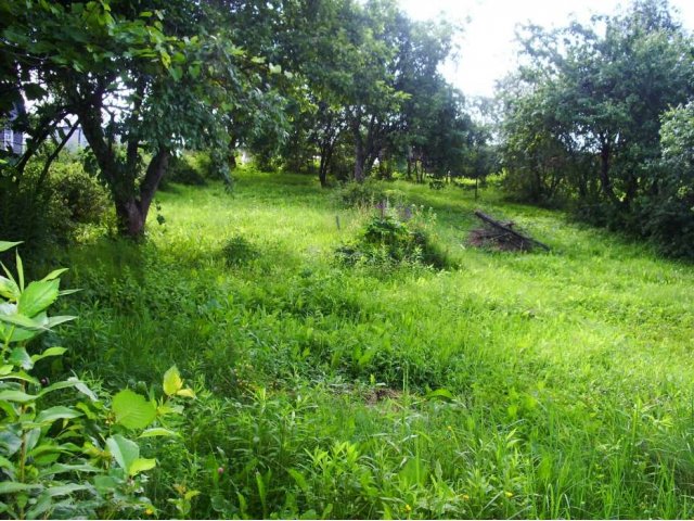 земельный часток в городе Великие Луки, фото 3, Продажа земли под сад и огород