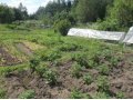 Продаю земельный участок в дачном кооперативе в Заречье в городе Вологда, фото 6, Продажа земли под сад и огород