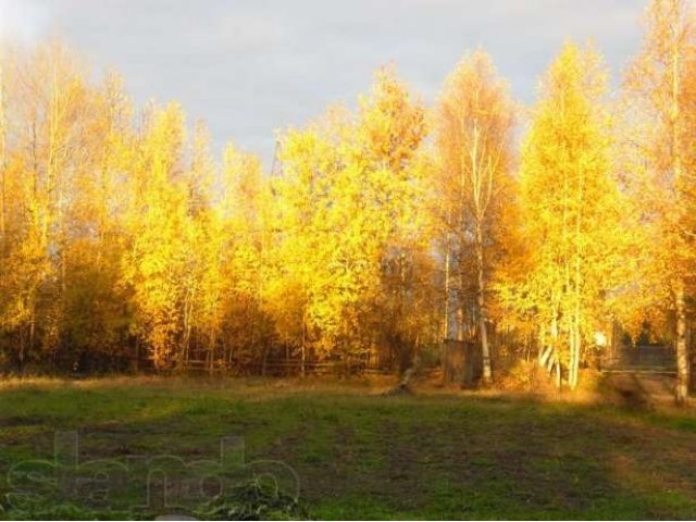 Земельный участок в Нефтеюганске в городе Нефтеюганск, фото 1, стоимость: 560 000 руб.