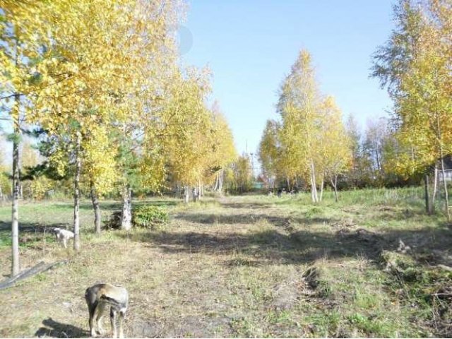 Земельный участок в Нефтеюганске в городе Нефтеюганск, фото 2, Продажа земли под сад и огород
