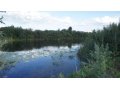 Продам земельные участки со своим берегом в городе Новосибирск, фото 3, Продажа земли под сад и огород