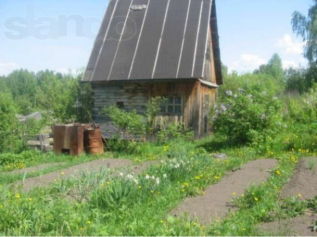 Продам дачу в Аникино. в городе Томск, фото 4, Продажа земли под сад и огород