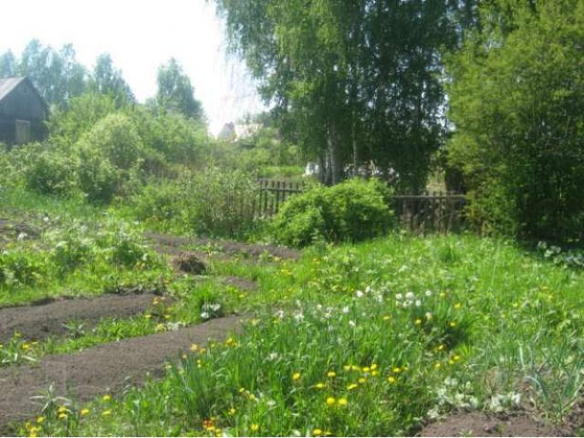 Продам дачу в Аникино. в городе Томск, фото 7, Продажа земли под сад и огород