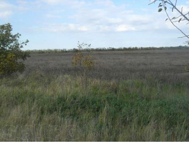 Земельный участок 2,6 Га в городе Краснодар, фото 3, Продажа земли сельхоз назначения