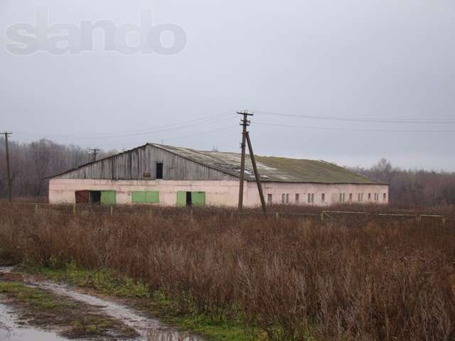 Продается фермерское хозяйство в городе Уфа, фото 1, Продажа земли сельхоз назначения