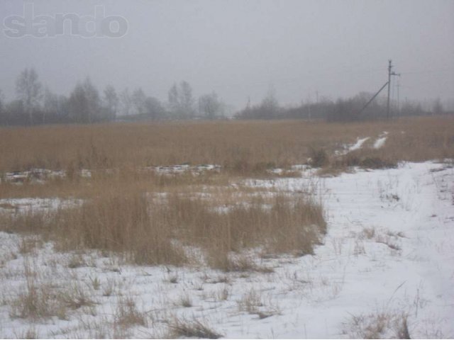 Земельный участок 2 га. г. Ядрин. в городе Ядрин, фото 6, Продажа земли сельхоз назначения