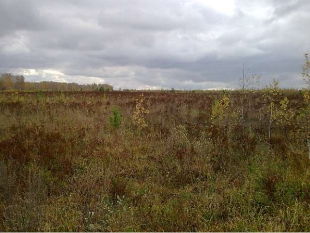 Продам земельный участок 6Га в городе Новосибирск, фото 1, Новосибирская область