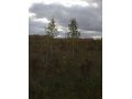 Продам земельный участок 6Га в городе Новосибирск, фото 2, стоимость: 16 000 руб.