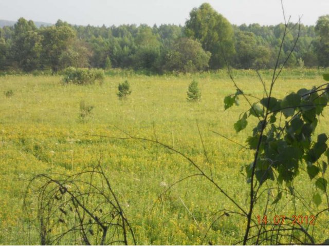 Продам земельный участок в городе Горно-Алтайск, фото 4, Продажа земли сельхоз назначения