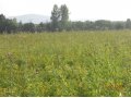 Продам земельный участок в городе Горно-Алтайск, фото 5, стоимость: 1 200 000 руб.