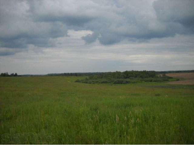 Продам земельный уч-к  с/х назначения 57 га в городе Смоленск, фото 6, Продажа земли сельхоз назначения