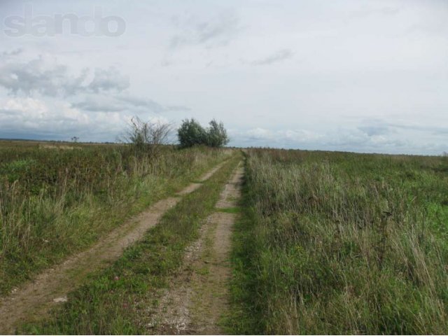 Комлекс сельскохозяйственного назначения в городе Славск, фото 1, Продажа земли сельхоз назначения