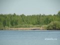 Прилесной участок 1,1 Га у большой воды д.Хлябово в городе Мытищи, фото 1, Московская область