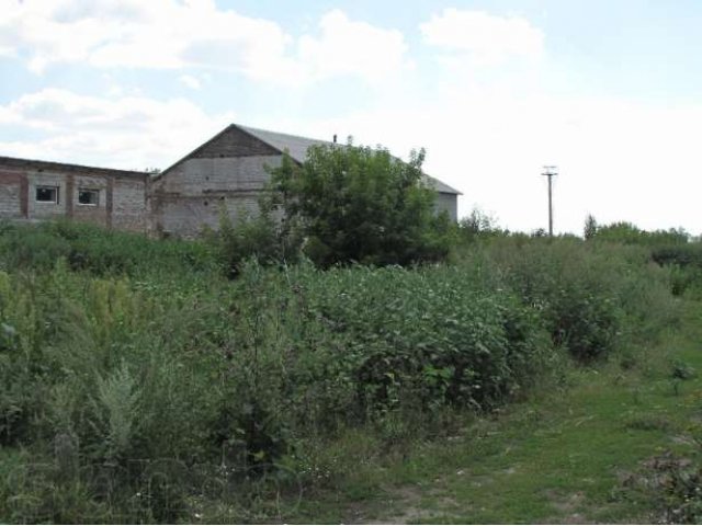 Земельный участок 2 га промышленного назначения в Тамбовской области в городе Рассказово, фото 6, Тамбовская область