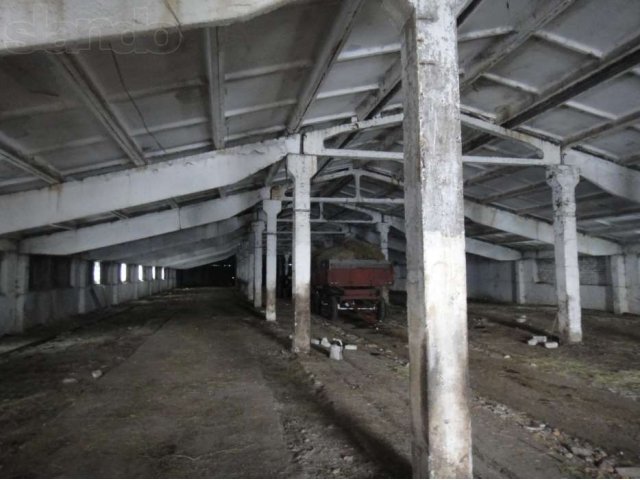 Аренда производственно-складских помещении в городе Задонск, фото 5, Липецкая область