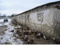 Продается помещение (склад) с огороженным участком... в городе Анапа, фото 1, Краснодарский край