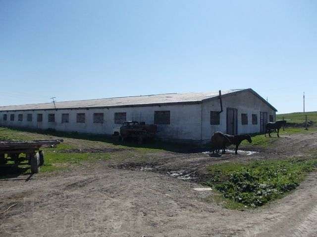 База (производственные, складские помещения) в Новошипуново (Краснощек в городе Барнаул, фото 1, стоимость: 998 000 руб.