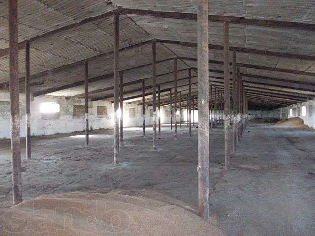 База (производственные, складские помещения) в Новошипуново (Краснощек в городе Барнаул, фото 2, Продажа складов