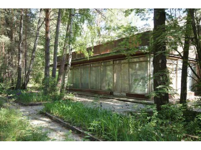 Продажа базы отдыха Нептун на р. Ока в городе Химки, фото 2, Московская область