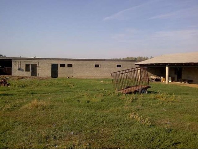 Ферма в павловском р-не в городе Павловская, фото 7, стоимость: 2 550 000 руб.