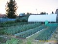 Объявления продавца Юрий Иванович Юрий Иванович